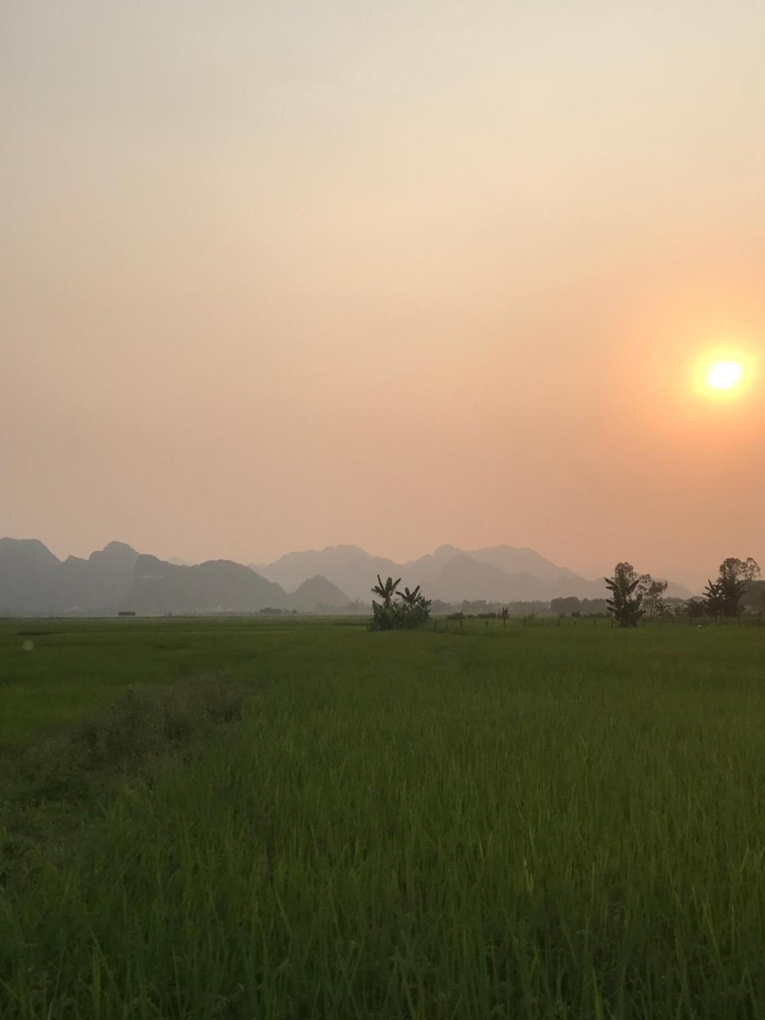 Happy Field Homestay 퐁냐 외부 사진